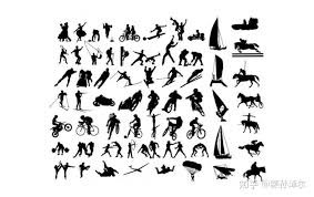 篮球CBA官方公布月度最佳教练