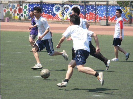 展示场外花 展示场外花